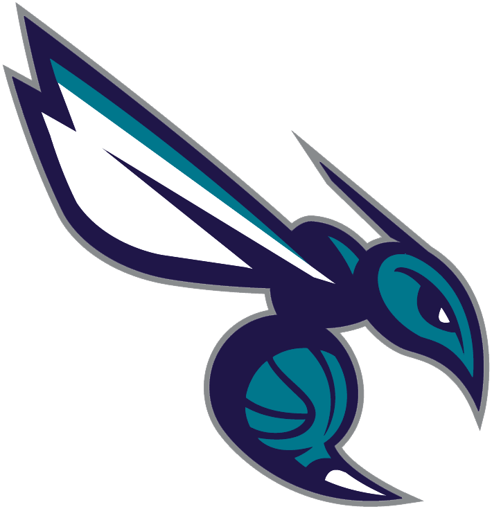 Charlotte Hornets 2014-Pres Alternate Logo fabric transfer version 4